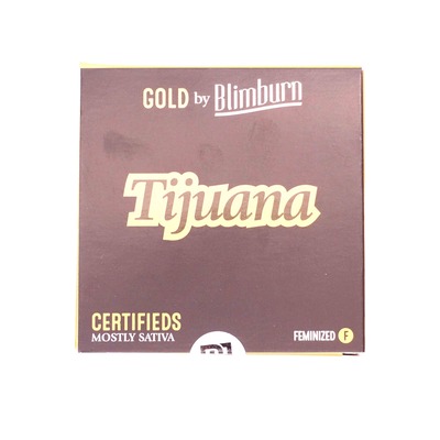 Tijuana > Blim Burn Seeds | Feminisierte Hanfsamen  |  Sativa